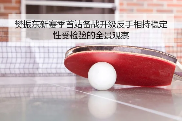 樊振东新赛季首站备战升级反手相持稳定性受检验的全景观察